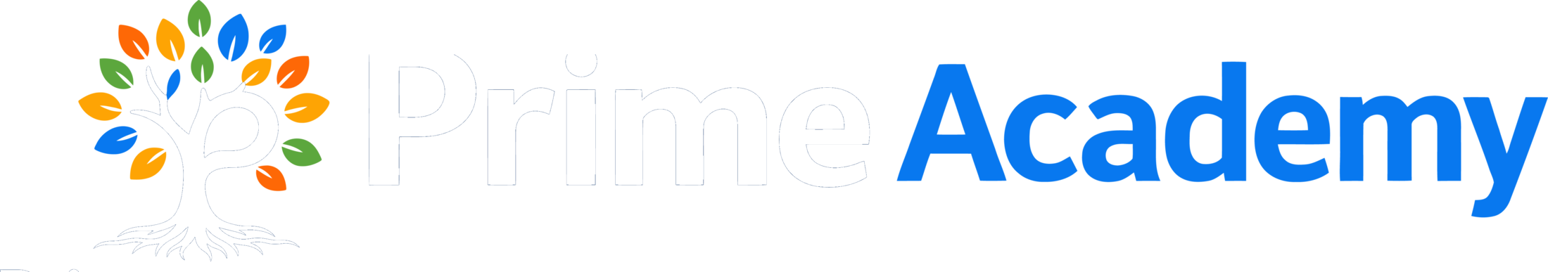 Prime Academy